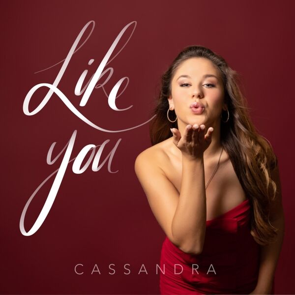 Cover art for Like You